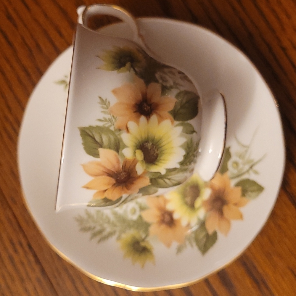 Royal Vale Daisy fine bone China teacup and saucer set